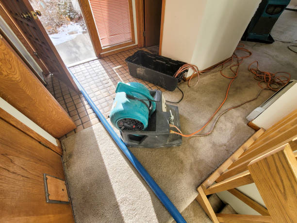 Best Residential water damage restoration  in Owenton, KY