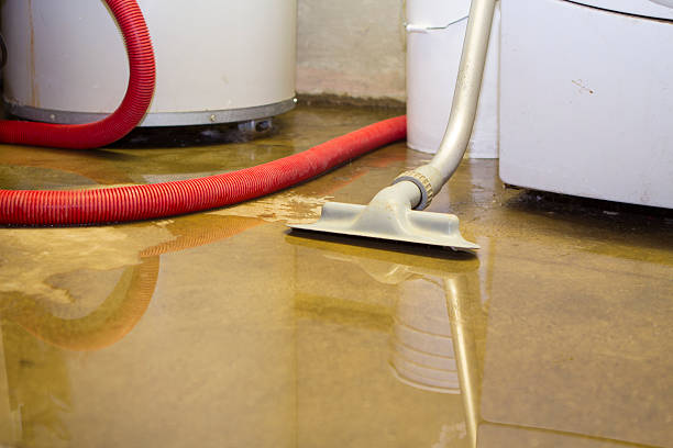 Best Water damage cleanup near me  in Owenton, KY
