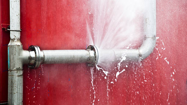 Best Mold removal after water damage  in Owenton, KY