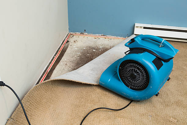 Best Basement water damage restoration  in Owenton, KY